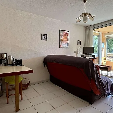Apartment Cosy A 100m De La Avec Piscine, Parking Prive Et Loggia Vitree - Fr-1-225-706 Argeles-sur-Mer