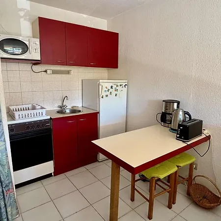 Cosy A 100m De La Avec Piscine, Parking Prive Et Loggia Vitree - Fr-1-225-706 Apartment *